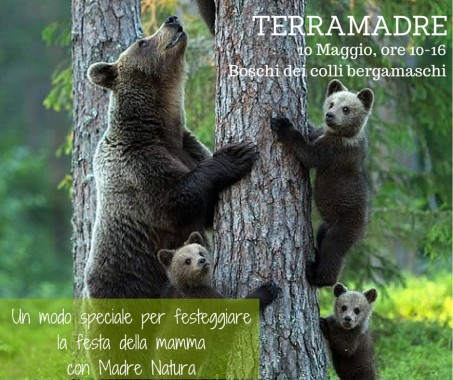 TERRAMADRE-x-wordpress