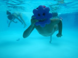 Campo Solare Carnevale 2016 @ Agriturismo Il Belvedere