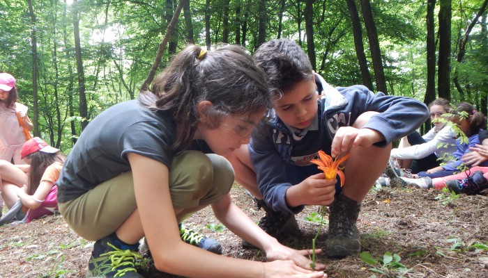 Campo Solare Estivo a Bergamo -  La terra: un dono da conoscere e da amare