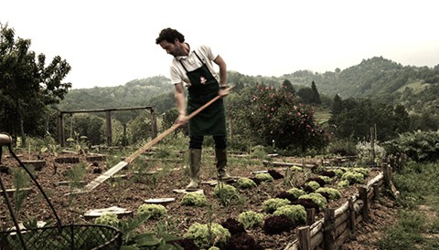 Campo solare estivo presso l'agriturismo Il Belvedere - L'orto: la cura paziente della terra