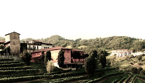 Campo solare estivo presso l'agriturismo Il Belvedere - Vista panoramica dall'Agriturismo Il Belvedere