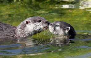 Si Spa con la Coppia - percorso benessere S.Valentino @ Tata-o Family Spa