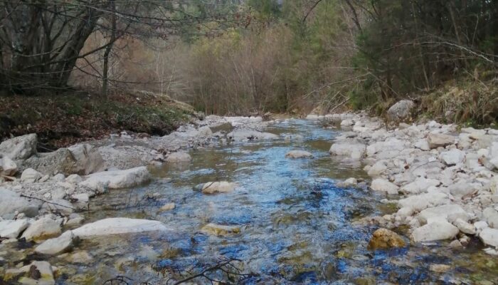 Spazi esterni di pertinenza della casa dal Trozzo